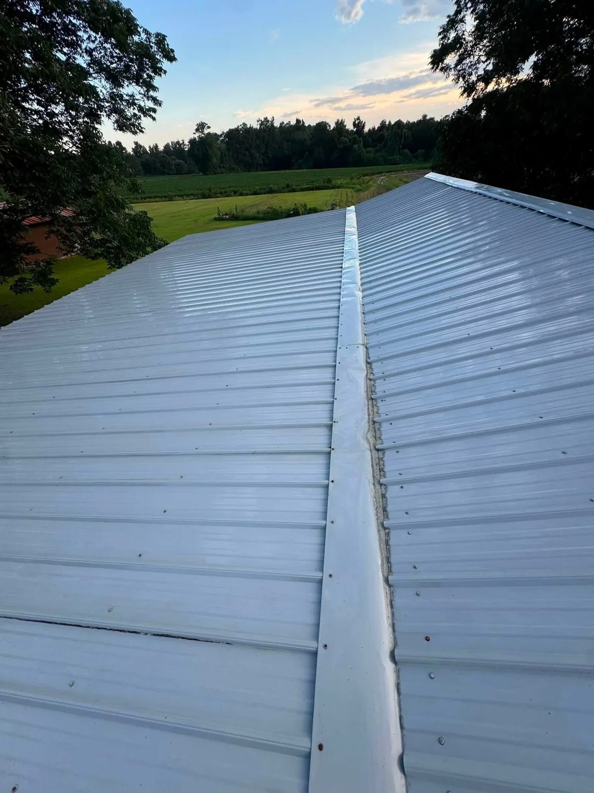 Metal roof in Jacksonville NC after soft wash roof cleaning