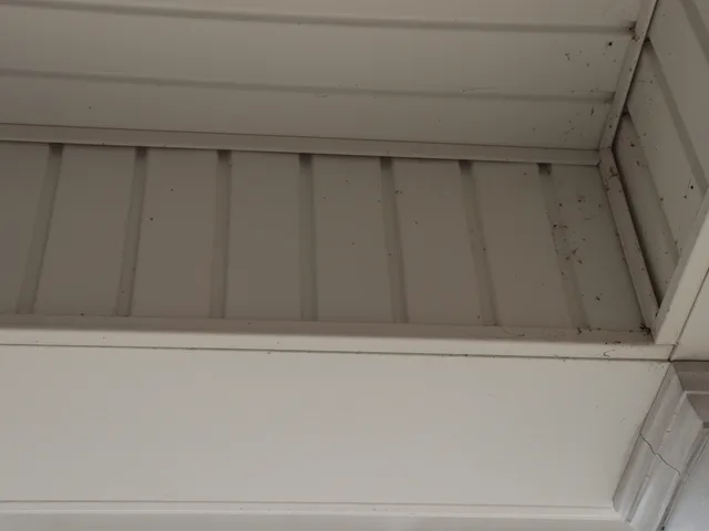 Soffit & eave — before — Ray-Nor-Shine Pro Wash job photo